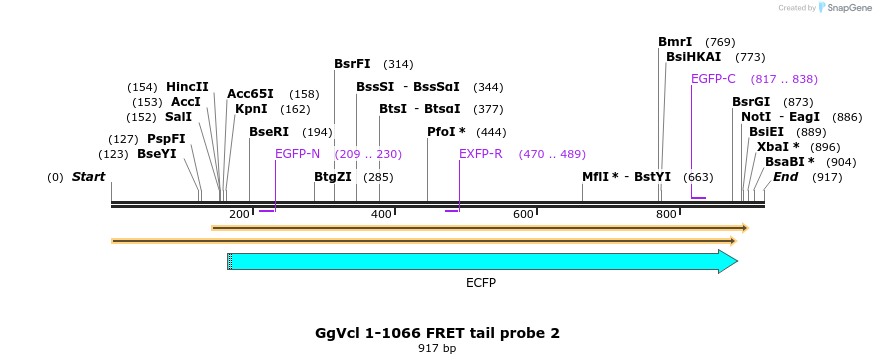 66931_map