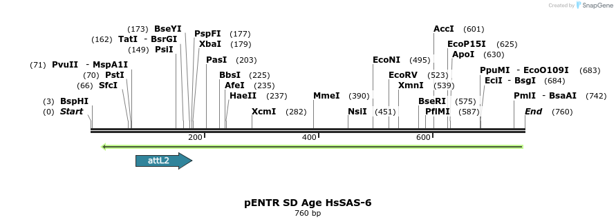 66941_map