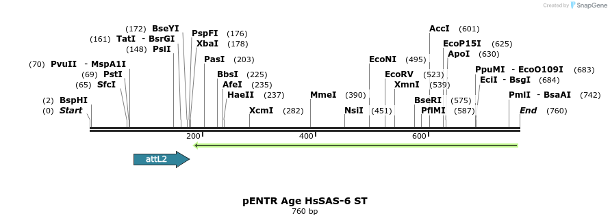 66942_map