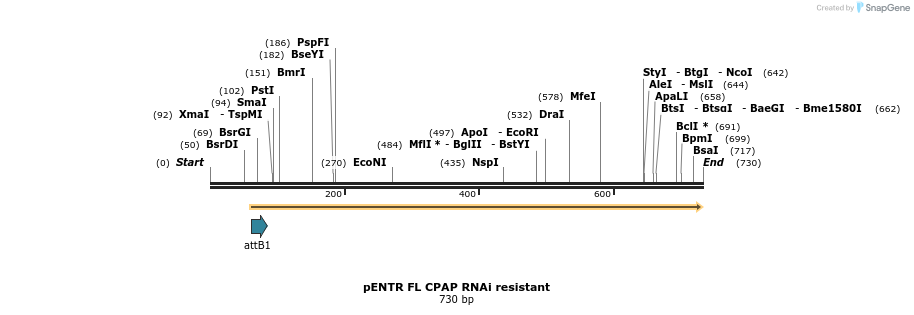 66943_map