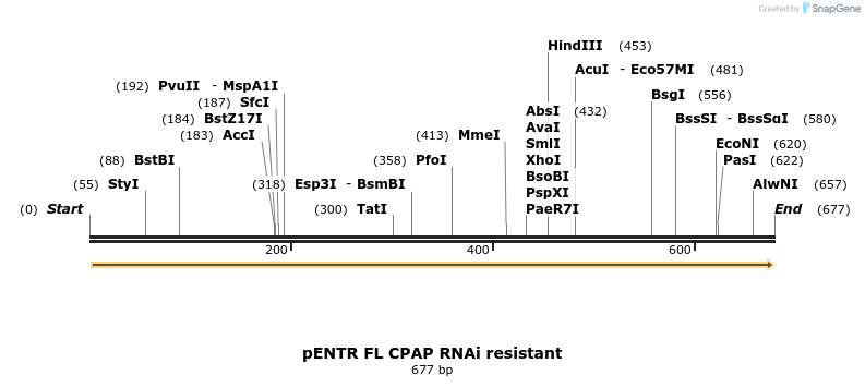 66944_map