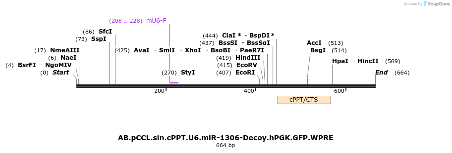 66955_map