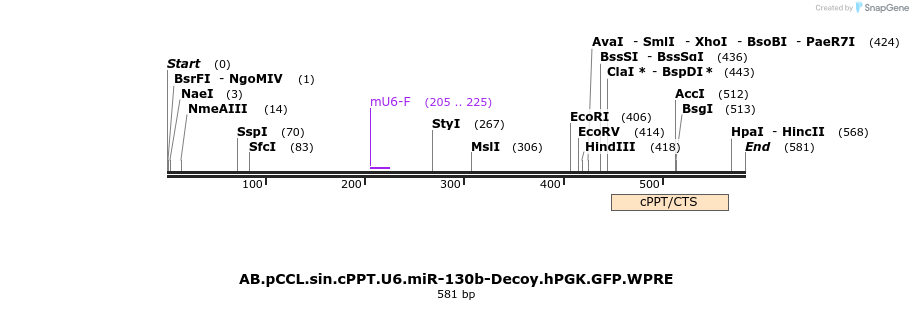 66956_map