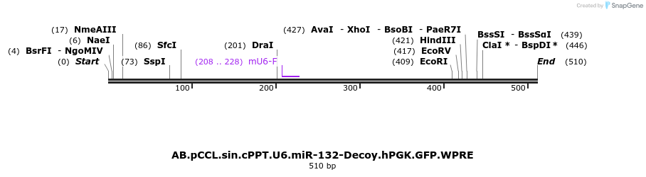 66957_map