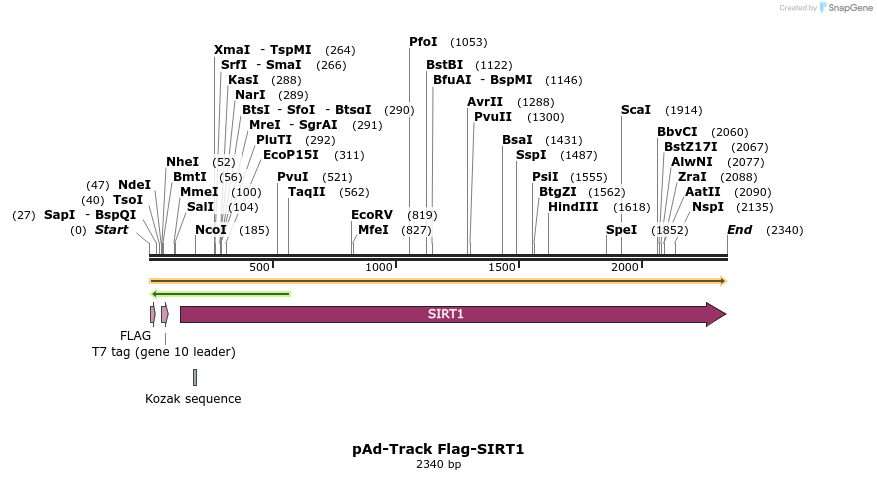 6696_map