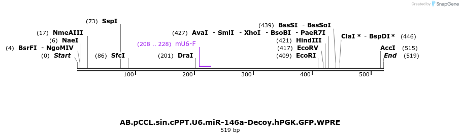 66960_map