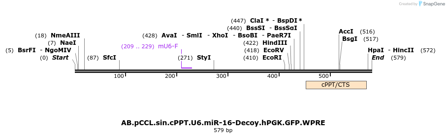 66966_map