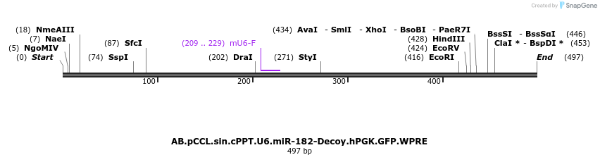 66970_map