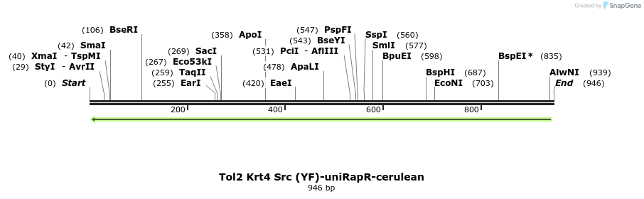 66971_map