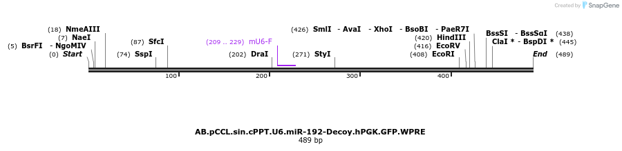 66972_map