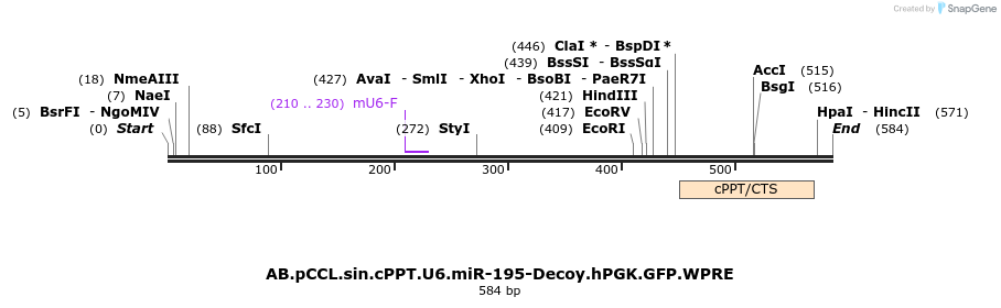 66973_map