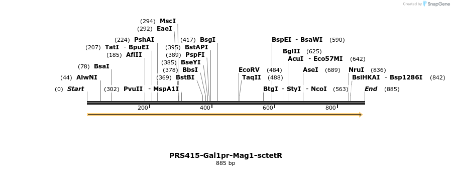 66975_map