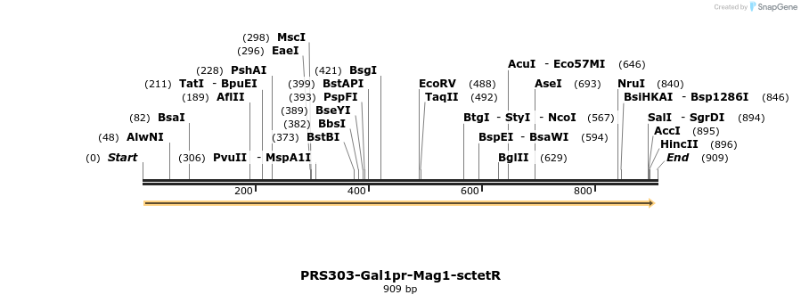 66977_map