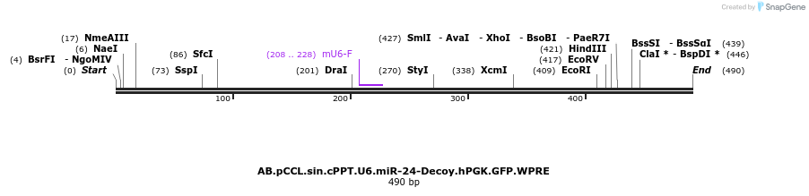 66979_map