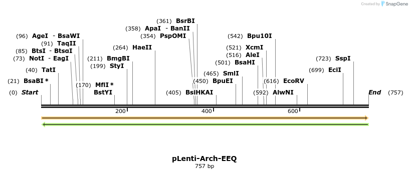 66982_map