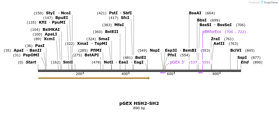 66987_map