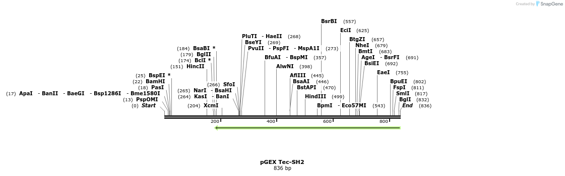 66994_map