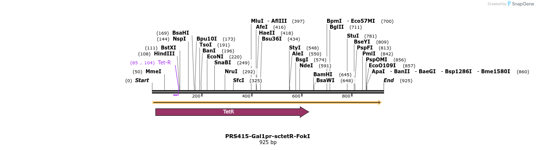 66997_map
