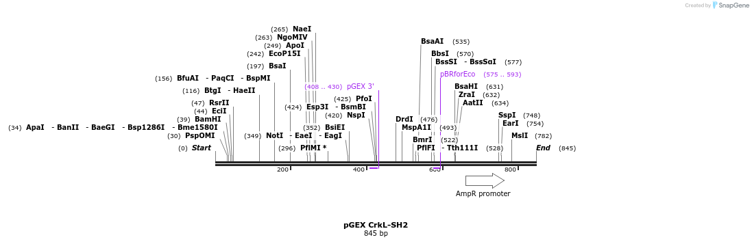 67001_map