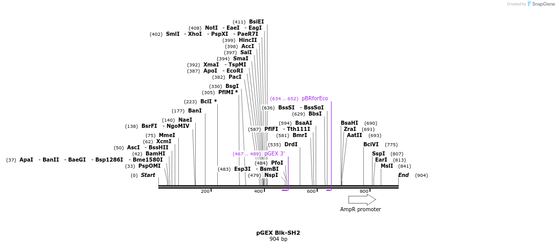 67002_map