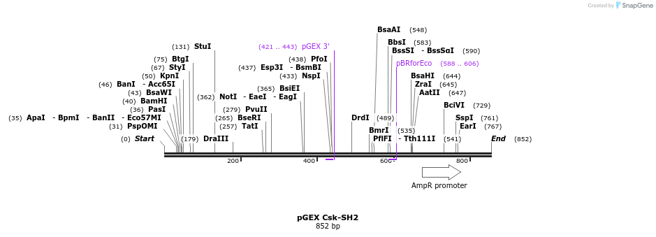 67003_map