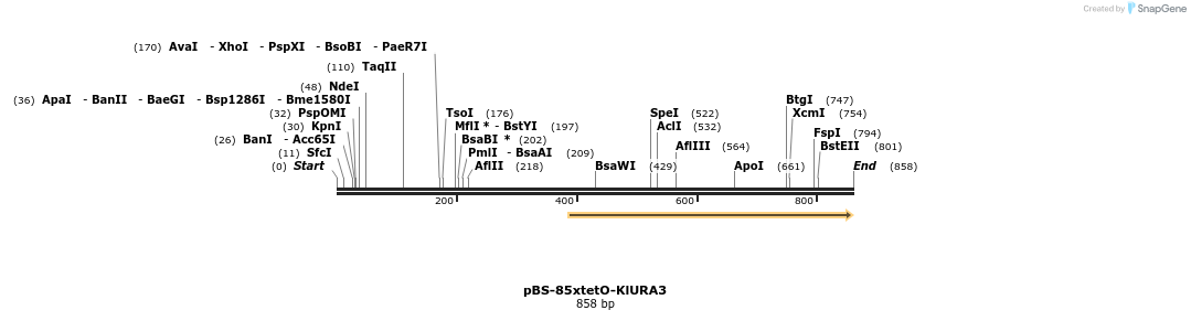67011_map