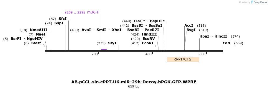 67048_map