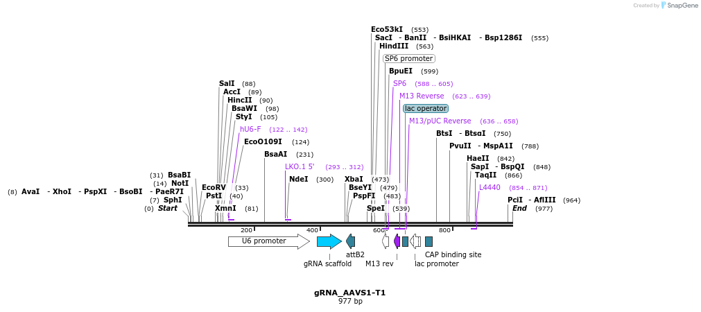 67049_map