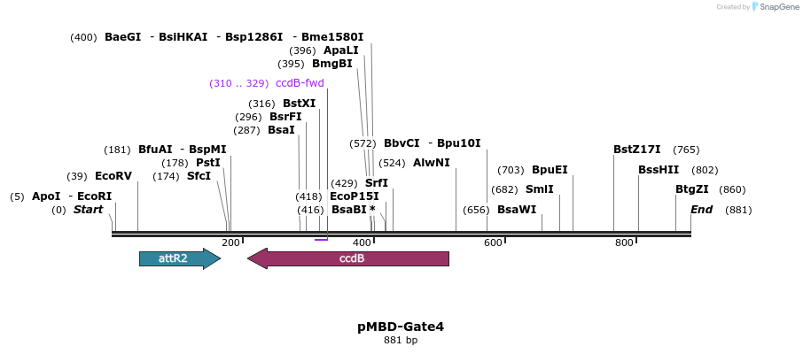 67051_map
