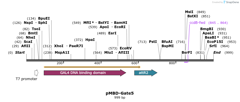 67053_map