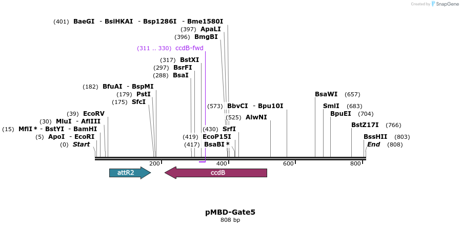 67054_map