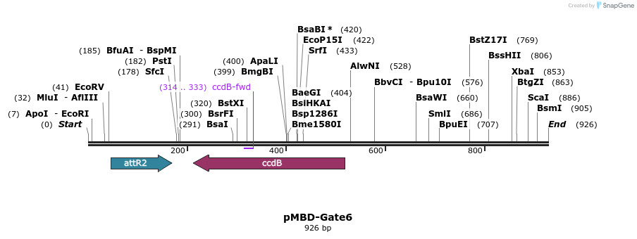 67057_map