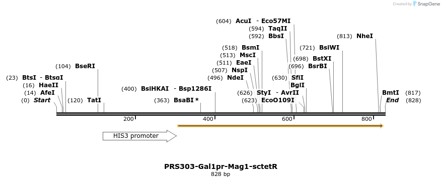 67061_map