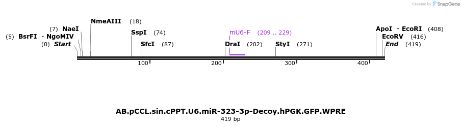 67062_map