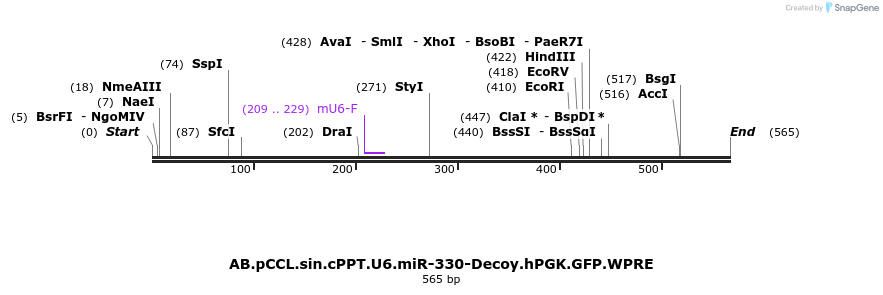 67064_map