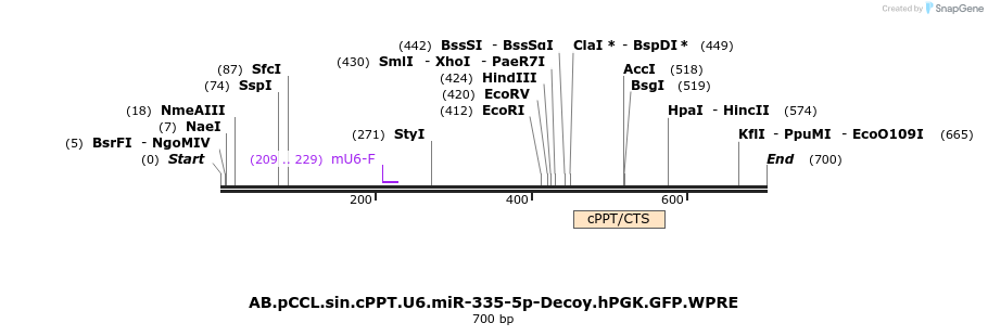 67065_map
