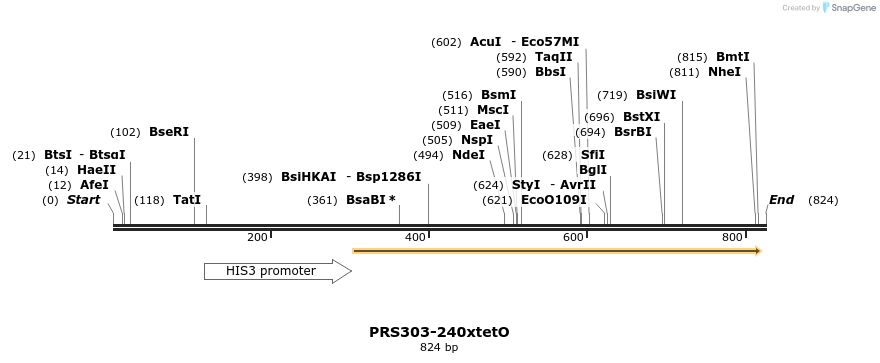 67067_map