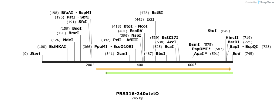 67068_map