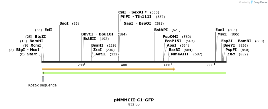 67076_map