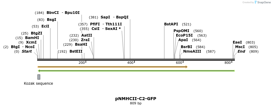 67077_map