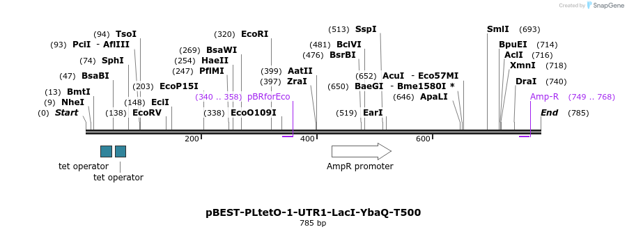 67079_map