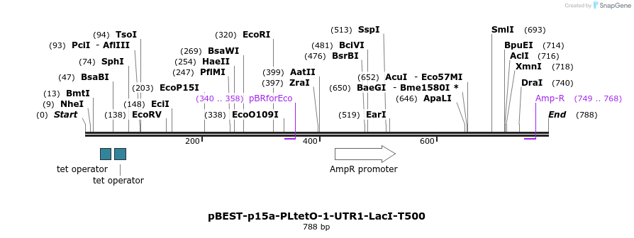 67080_map