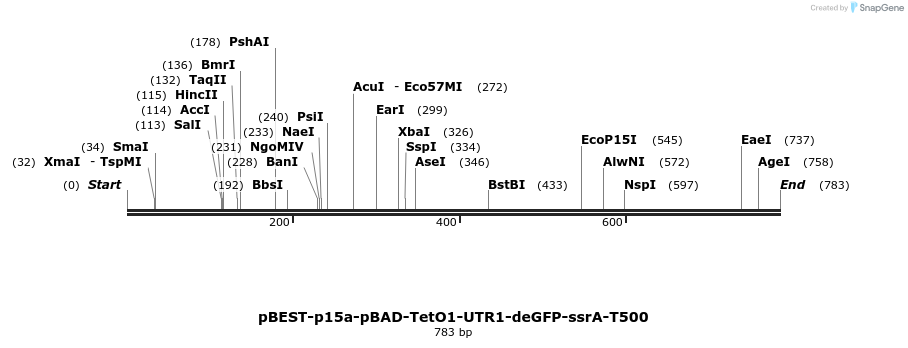 67083_map
