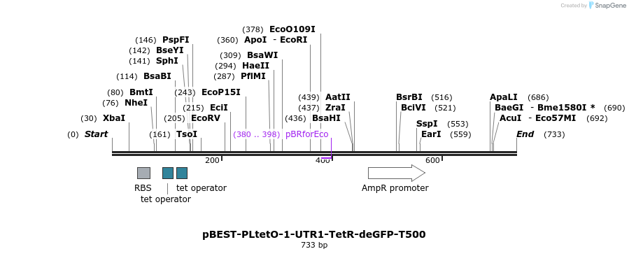 67084_map