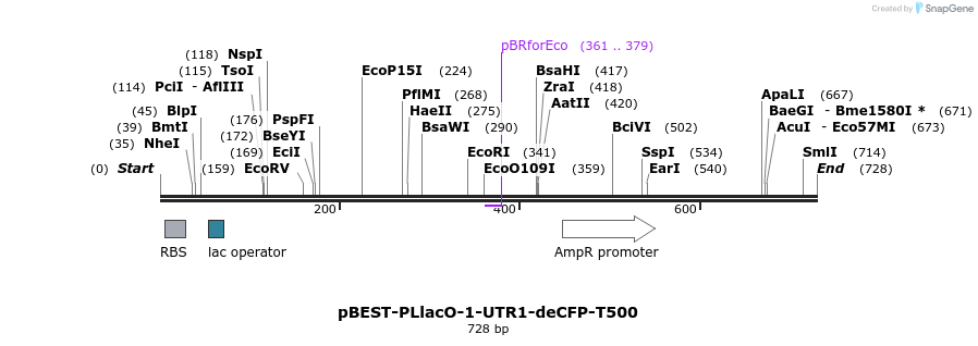 67085_map