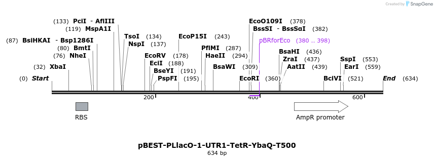 67086_map