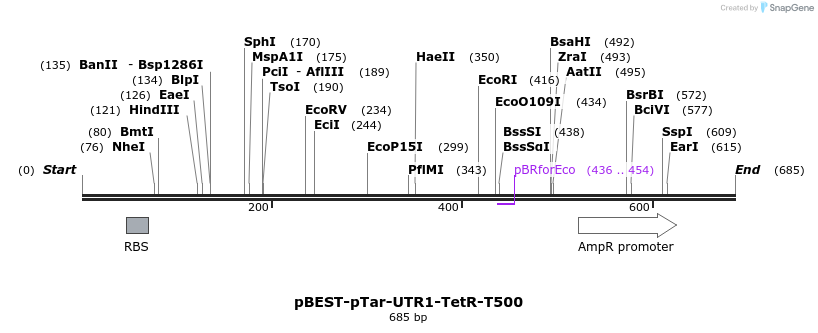 67087_map