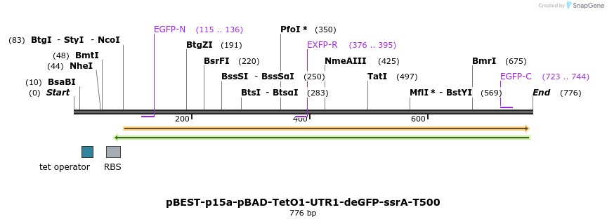 67088_map