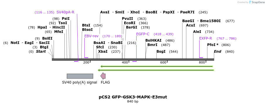 67090_map