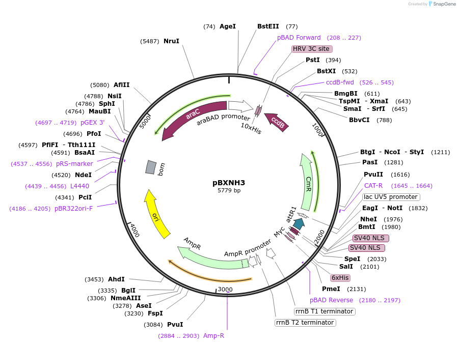 67093_map